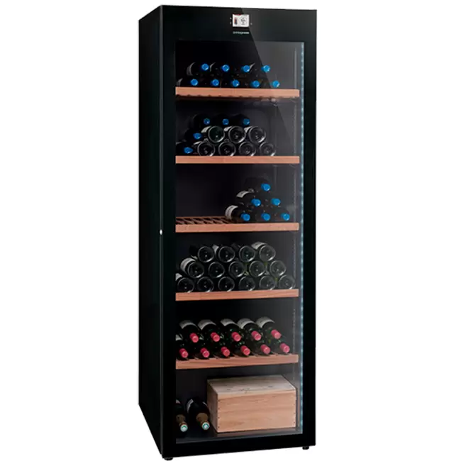 Купить Винный холодильник Avintage DVP265G
