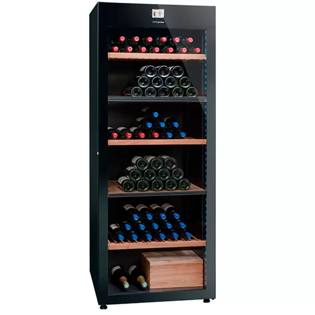 Купить Винный холодильник Avintage DVP305G